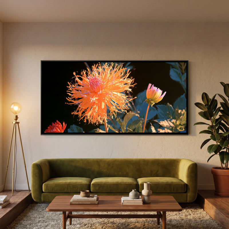 Dahlias