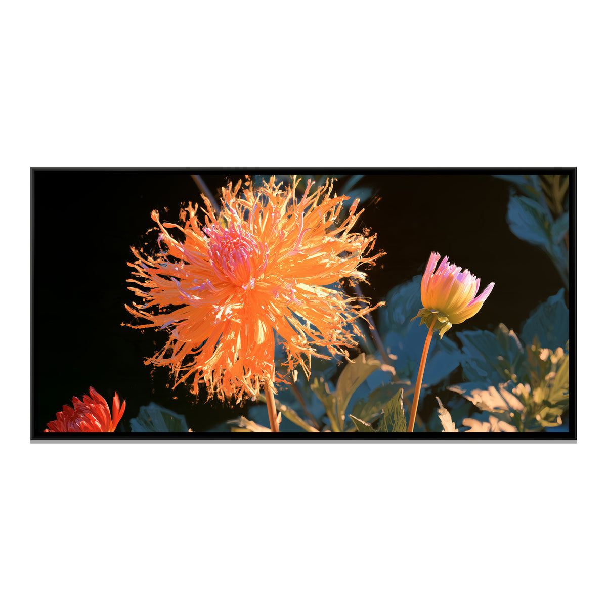 Dahlias — framed canvas print, front view