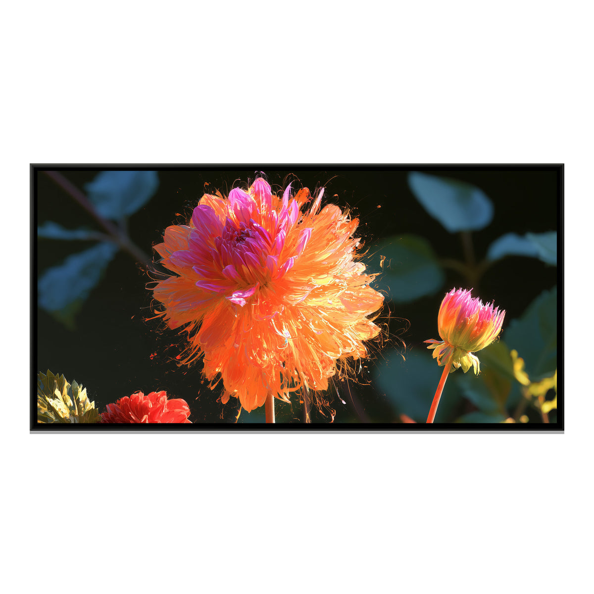 Dahlias — framed canvas print, front view