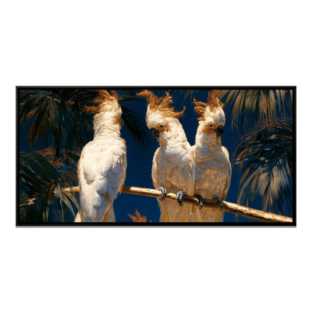 White Cockatoos — framed canvas print, front view