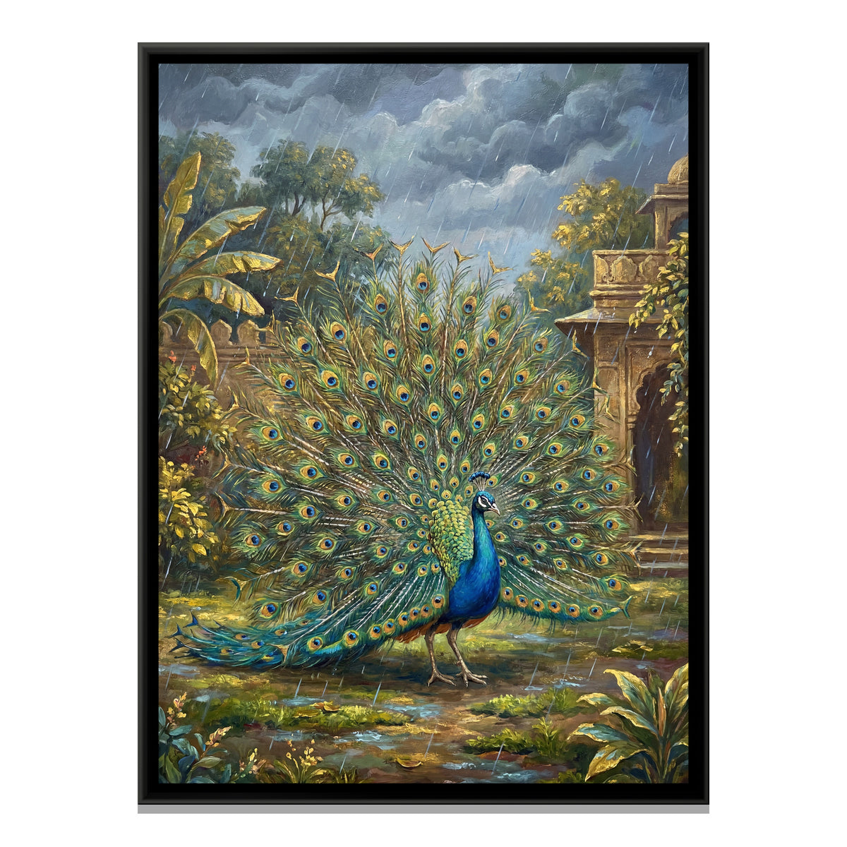 Dancing Peacock — framed canvas print, front view