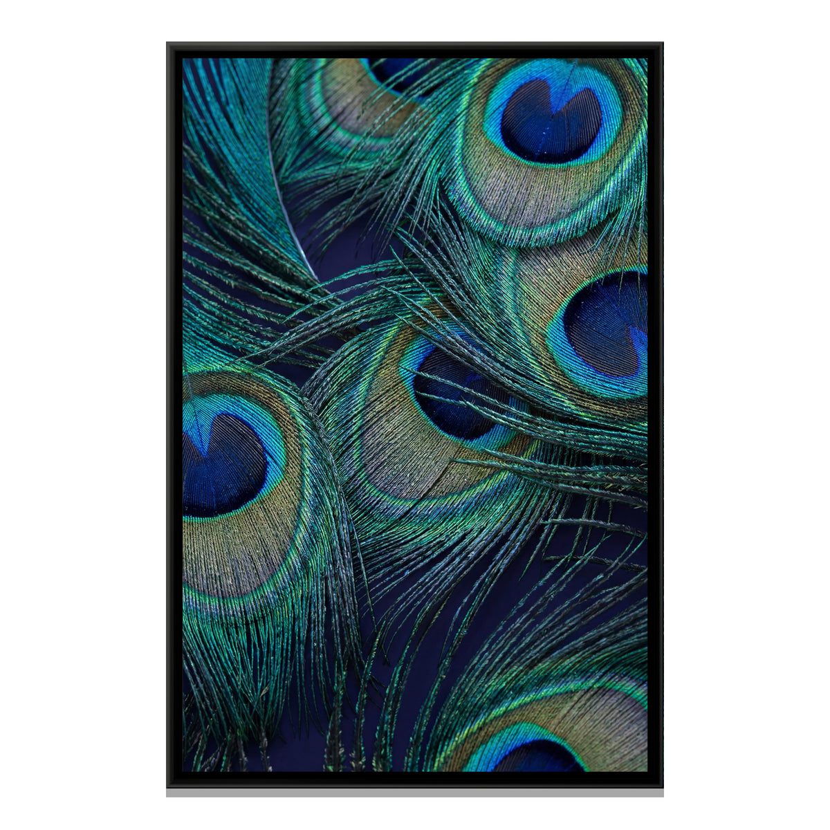 Peacock Feather Close-Up — framed canvas print, front view