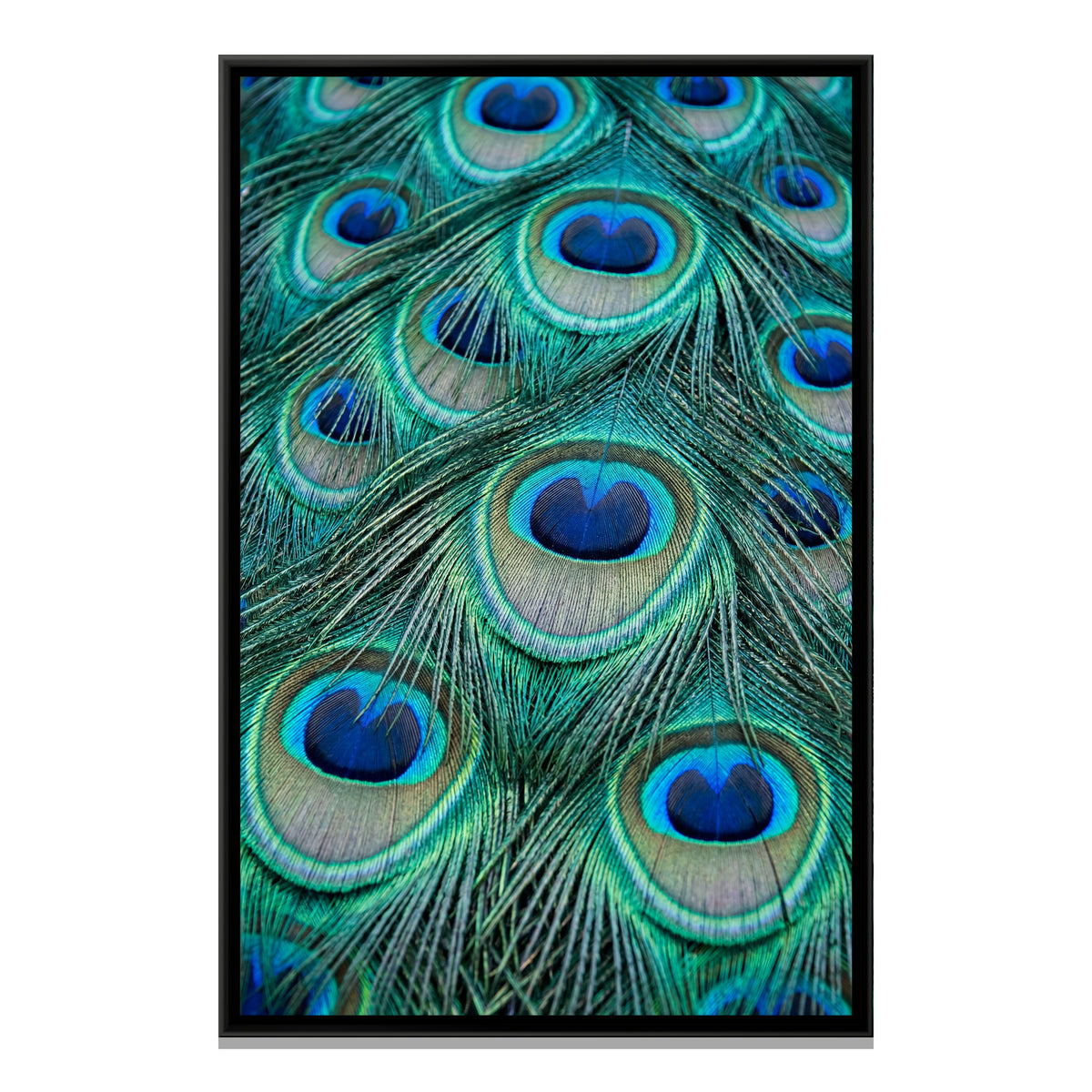 Peacock Feather Close-Up — framed canvas print, front view