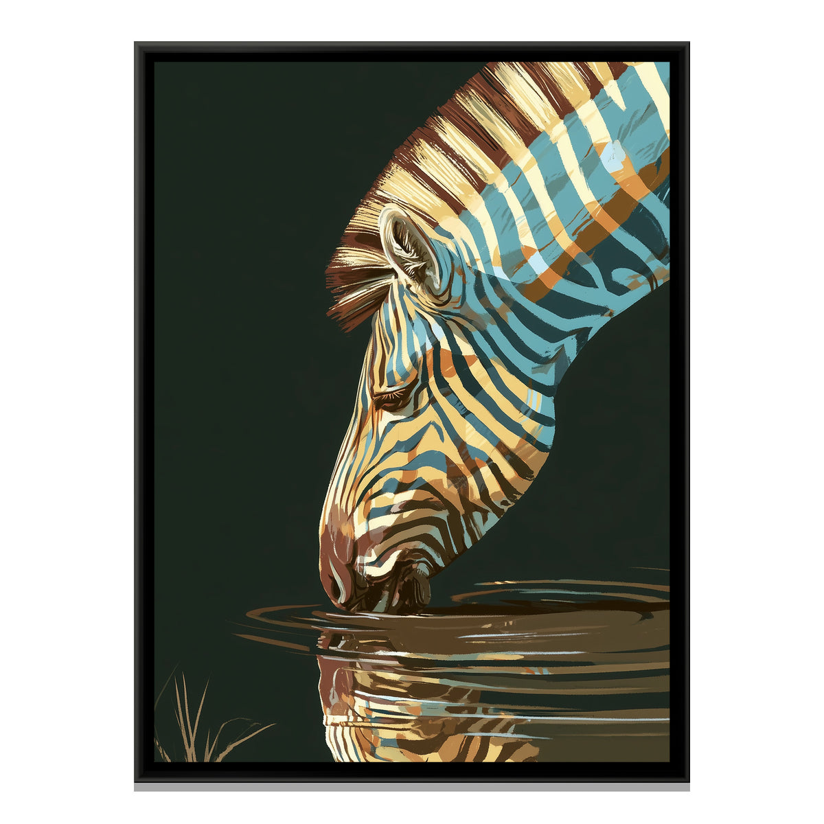 Zebra Drinking — framed canvas print, front view