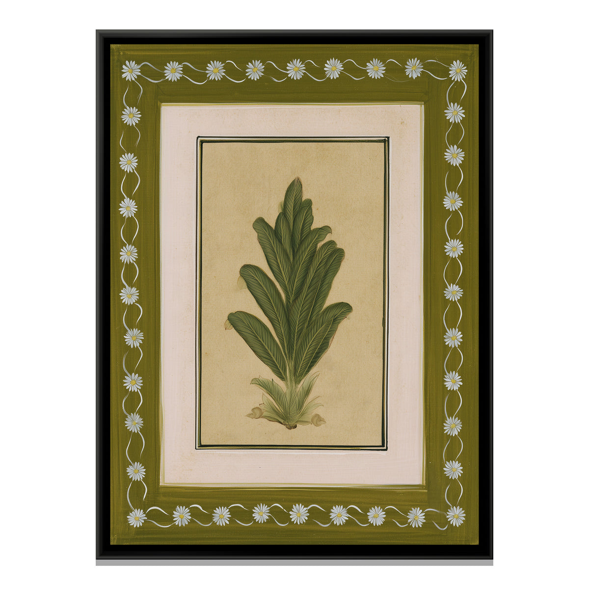 Mughal Botanical Plant — framed canvas print, front view