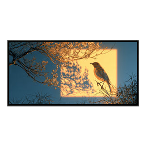 View image 2