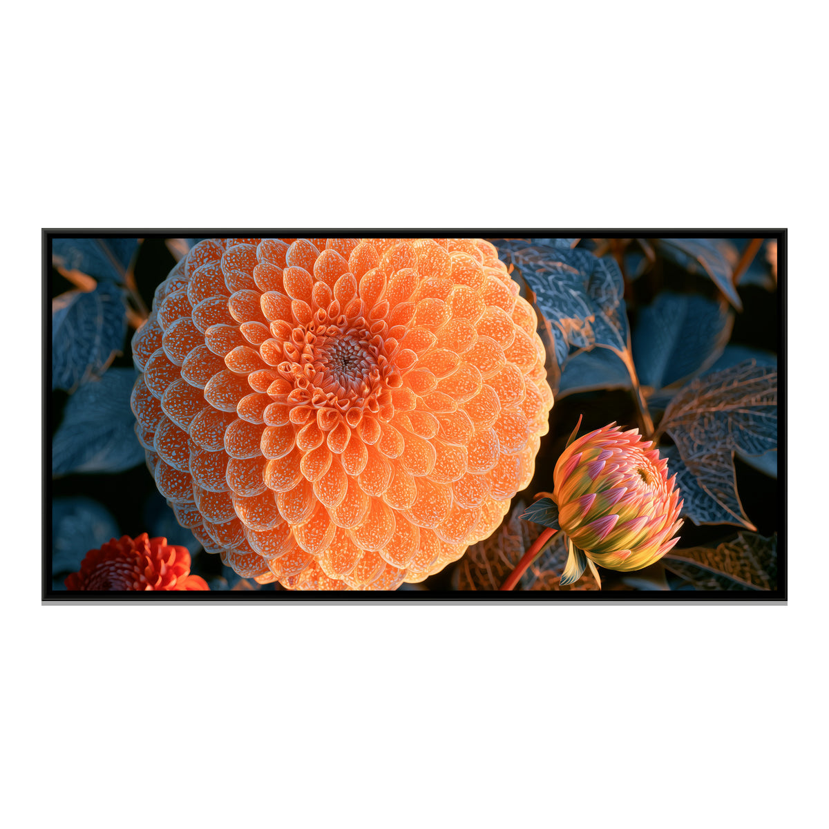 Dahlias — framed canvas print, front view