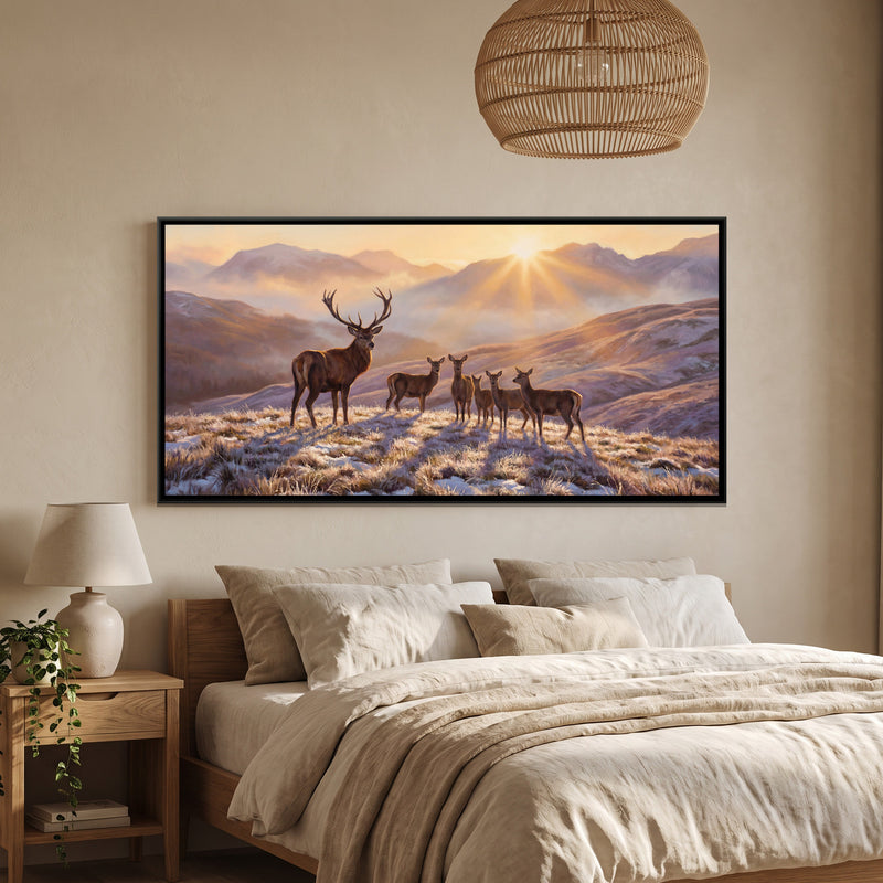 Stag at Sunrise