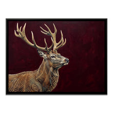 Deer & Stags wall art